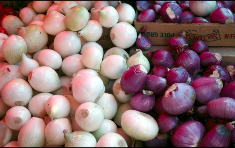 En México, la cebolla se produce principalmente en Chihuahua, Zacatecas, Guanajuato, Tamaulipas, Michoacán, Puebla y San Luis Potosí. EL INFORMADOR/ARCHIVO
