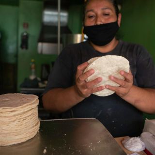 Productores descartan que se estabilice el precio de la tortilla