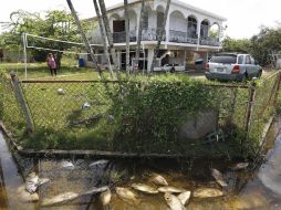 El fenómeno meteorológico dejó daños ambientales. EFE