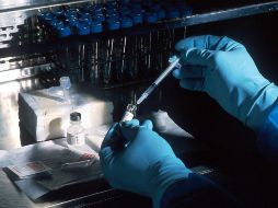 En Jalisco, la atención para la viruela símica es gratuita; consulta los módulos autorizados. ESPECIAL/Foto de National Cancer Institute en Unsplash