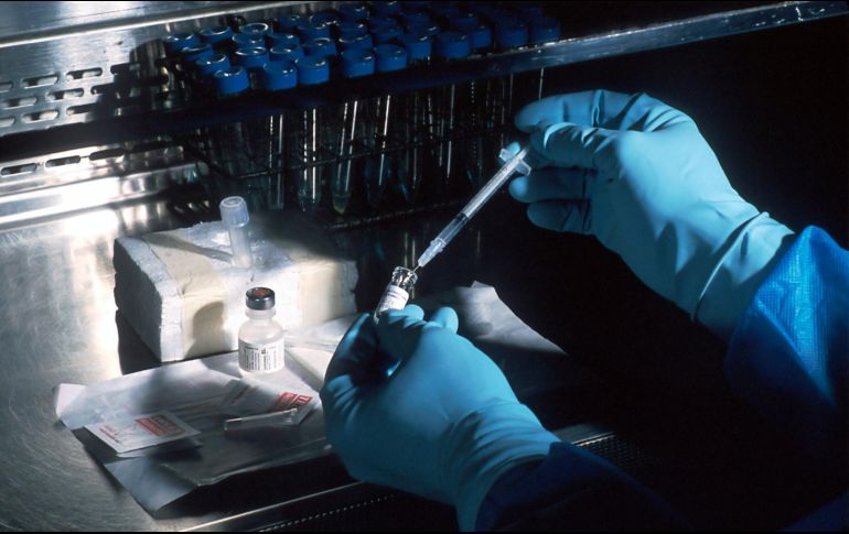 En Jalisco, la atención para la viruela símica es gratuita; consulta los módulos autorizados. ESPECIAL/Foto de National Cancer Institute en Unsplash