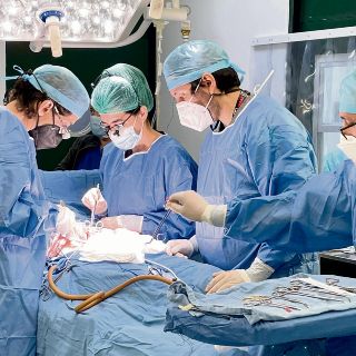 Programas de trasplantes en el IMSS Jalisco repuntan en 2022