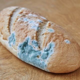 ¡Ojo! Esta es la diferencia entre fecha de caducidad y consumo preferente