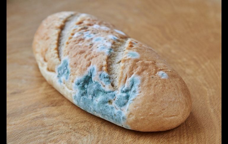 Conoce la diferencia entre fecha de caducidad y consumo preferente. ISTOCK/Osobystist