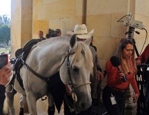 La bancada animalista manifestó su rechazo a la acción burlona del senador. EFE/L. Vargas-Prensa Senado Colombia