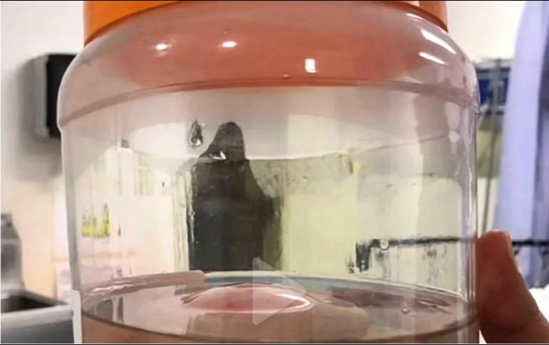 La escalofriante imagen generó toda clase de comentarios en redes. ESPECIAL/CAPTURA DE VIDEO