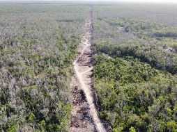 López Obrador también aseguró que 
