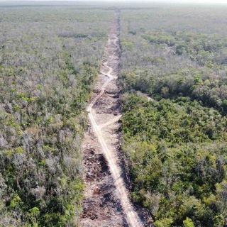 Tren Maya resaltará la grandeza cultural de México, asegura López Obrador