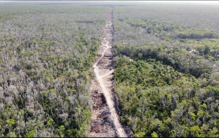 López Obrador también aseguró que 