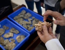 Los restos óseos se remontan al silúrio, comprendido hace 419 millones de años. AFP/W. Zhao