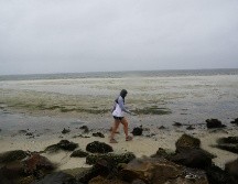 Las autoridades advirtieron de peligros, pero no hubo lesionados cuando el agua regresó gradualmente a su lugar. AFP/B. Smith
