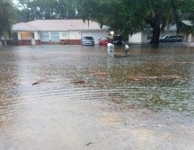 Gran pez es captado en un jardín inundado en Florida. TWITTER/ @VickyisGrateful