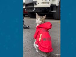 ESPECIAL/CAPTURA DE VIDEO