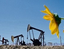 Debido a la baja demanda se espera una reducción gradual de la producción de Petróleo Brent. AFP