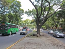 La construcción de este colector pluvial comenzó el 15 de julio pasado y tuvo una inversión de 41 millones de pesos. EL INFORMADOR/A. Camacho