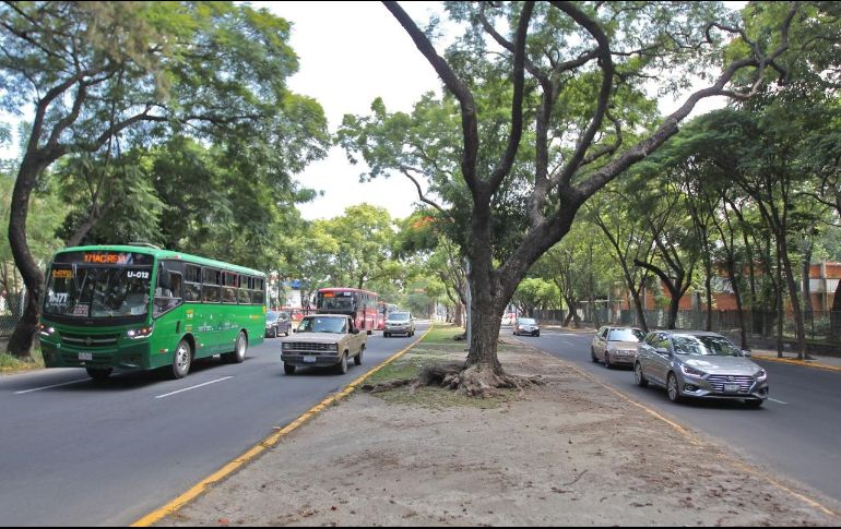 La construcción de este colector pluvial comenzó el 15 de julio pasado y tuvo una inversión de 41 millones de pesos. EL INFORMADOR/A. Camacho