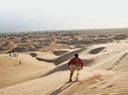 Dunas de los Algodones. Perfectas para disfrutar de algo de “sandboarding”. ESPECIAL/Welcome to Baja California