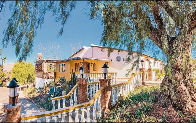 Rancho Tecate. Su larga historia se une a un brillante presente, lleno de buen vino. ESPECIAL