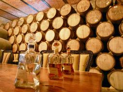 La pandemia no mermó el avance de la industria del tequila. EL INFORMADOR/Archivo