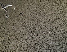 Las consecuencias de esa sequía impactaron en el sector agrícola de decenas de países. EFE/J. Diges