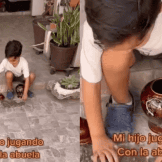 TikTok: Niño que juega con las cenizas de su abuela se vuelve viral