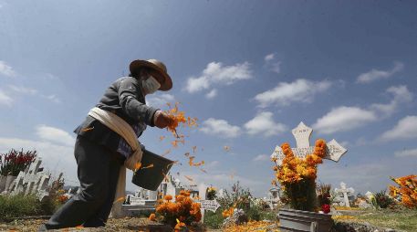 La Sedeco invitó a los ciudadanos a realizar la compra de sus flores de cempasúchil en los Mercados Públicos. SUN / ARCHIVO