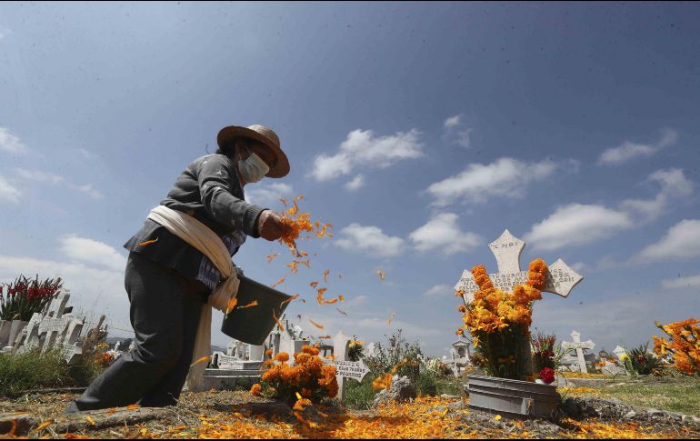 La Sedeco invitó a los ciudadanos a realizar la compra de sus flores de cempasúchil en los Mercados Públicos. SUN / ARCHIVO
