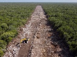 Arrasando con todo lo que está en la ruta del Tren Maya, la obra avanza para que esté en operaciones en diciembre de 2023. AP