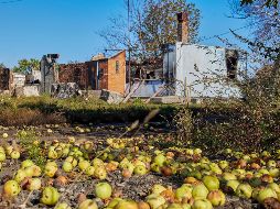 Ucrania sufrió una auténtica lluvia de misiles este lunes que ha desatado debates y el repudio internacional. EFE/S. Kozlov