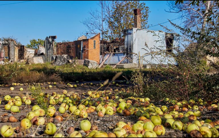 Ucrania sufrió una auténtica lluvia de misiles este lunes que ha desatado debates y el repudio internacional. EFE/S. Kozlov