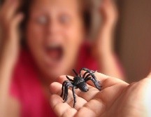 Estos son los tipos de fobias más comunes. ISTOCK/Dejan Markovic