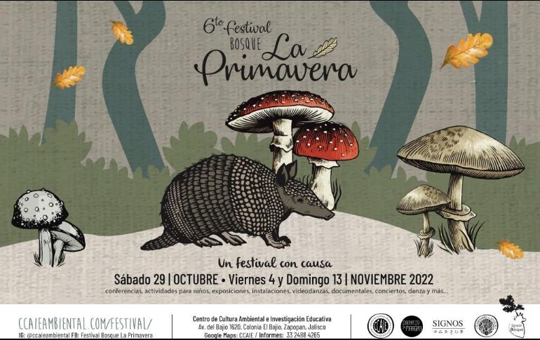 Este año el Festival clausurará su VI edición con un ‘Concierto para el Bosque’, a cargo de la banda tapatía AMPERSAN. ESPECIAL/Secretaría de Cultura