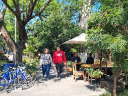 Esto dicen vecinos y visitantes de la colonia Americana, el "barrio más genial del mundo"