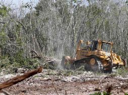 López Obrador revisará los avances en cuanto a derechos de vías, las consultas que se han llevado con las comunidades, así como que no falten los materiales que requiere el Tren Maya. SUN / ARCHIVO