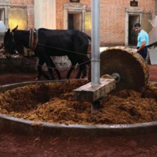 Tequila Siete Leguas