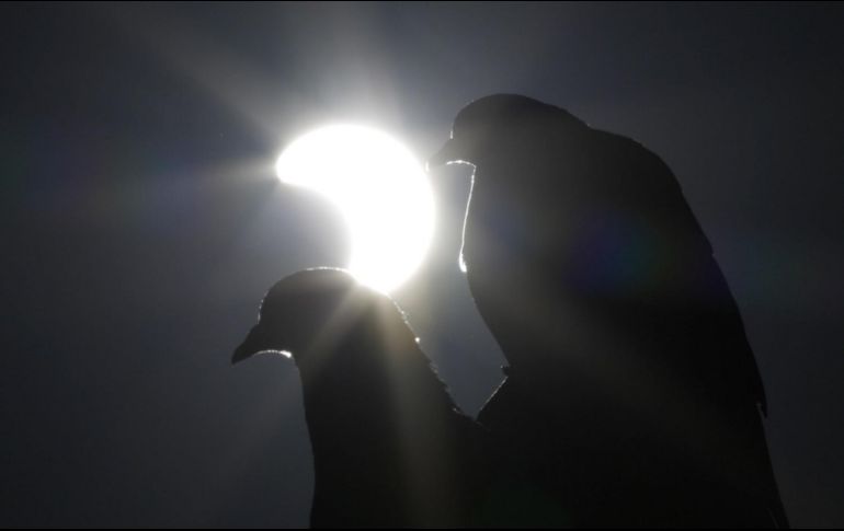 El eclipse anular del 14 de octubre de 2023 será la antesala del eclipse total de Sol que se apreciará en México el 8 de abril de 2024. AP/ARCHIVO