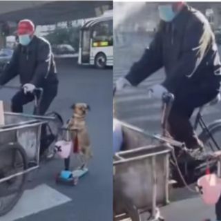 ¡Calientitos los tamales! Perro sale a vender junto a su dueño a bordo de un scooter (VIDEO)
