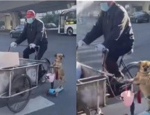 A pesar de que el video es corto, la gente ha expresado su entusiasmo por el tierno momento. ESPECIAL