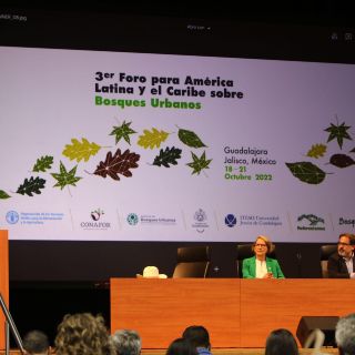 Hacen llamado a implementar acciones para proteger bosques urbanos