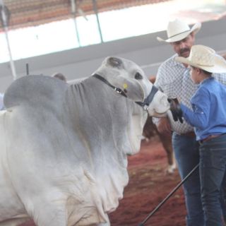 Policía Vial aplicará operativo especial en Expo Ganadera