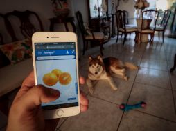 La Coalición de Libertad en Línea reportó que  las autoridades de Teherán están suprimiendo el derecho a la asamblea pacífica, las libertades de asociación y recortando las capacidades de periodistas y defensores de los derechos humanos. EL INFORMADOR/ ARCHIVO