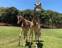 La niña fue llevada a una clínica médica cercana, 