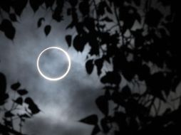 Las consecuencias de ver un eclipse de Sol fijamente varían en grado de letalidad. AFP/ARCHIVO