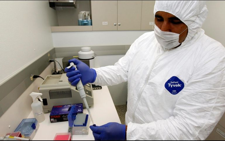 En septiembre, un brote de gripe aviar amenazó la industria avícola de 115 millones de dólares de Belice. EL INFORMADOR/ARCHIVO