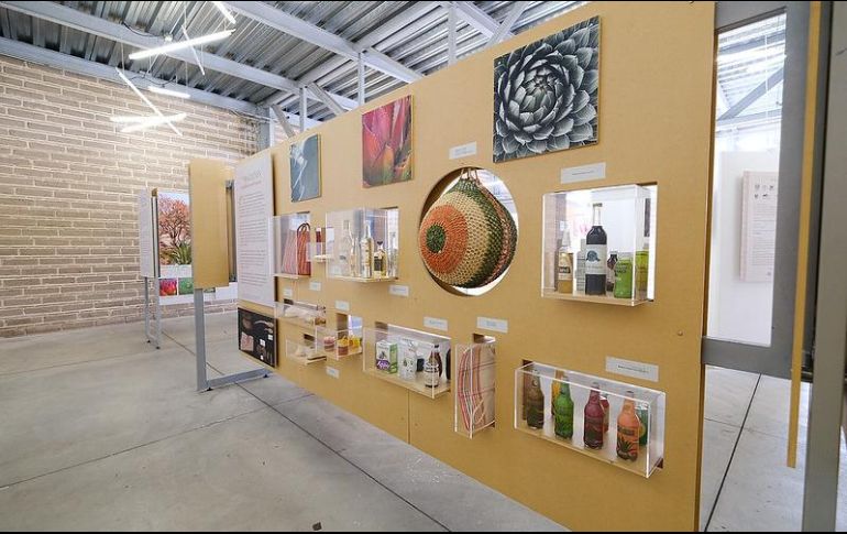 La exposición promueve la reflexión sobre la construcción de conocimiento y conservación de los recursos vegetales del país. ESPECIAL/Gobierno de Tlaquepaque
