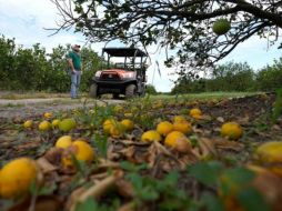 Los informes preliminares sobre los daños ocasionados por el huracán 