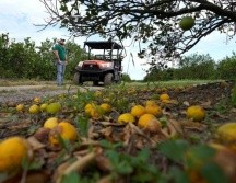 Los informes preliminares sobre los daños ocasionados por el huracán 