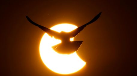 El próximo eclipse solar se producirá en abril. AP/M. Swarup