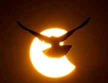 El próximo eclipse solar se producirá en abril. AP/M. Swarup