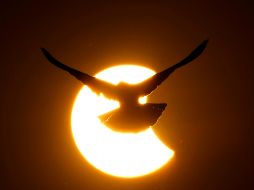 El próximo eclipse solar se producirá en abril. AP/M. Swarup